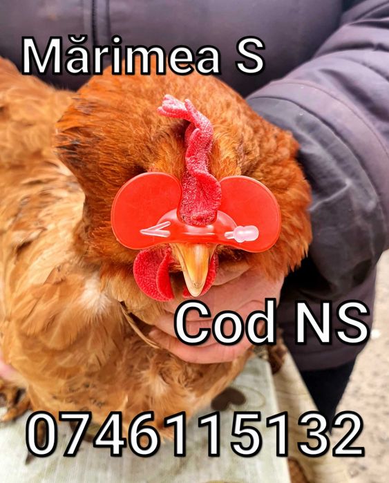 Fazani Gaini Pauni Cocosi Pui Pasari - OCHELARI Impotriva LUPTEOR - NS