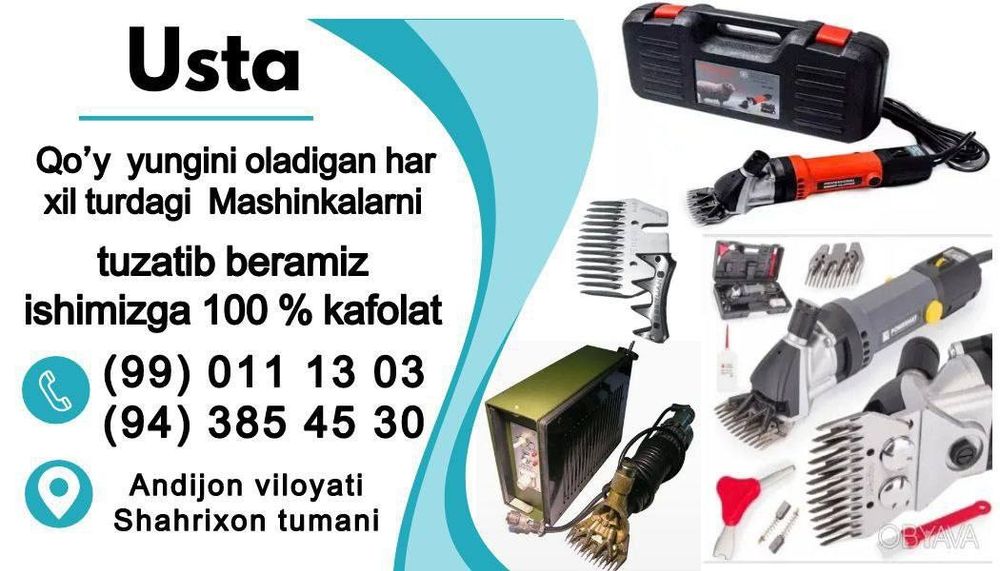 Qoy yungini olamiz vodiy boylab