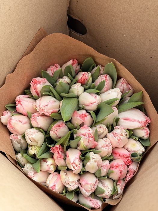 Премиум тюльпаны