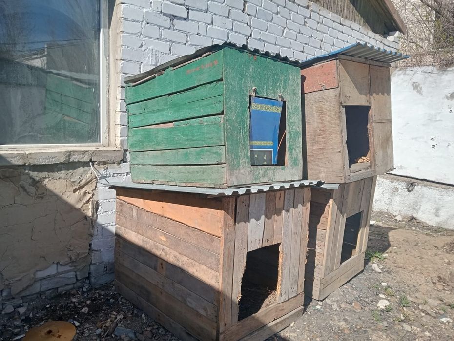 Будка для собаки