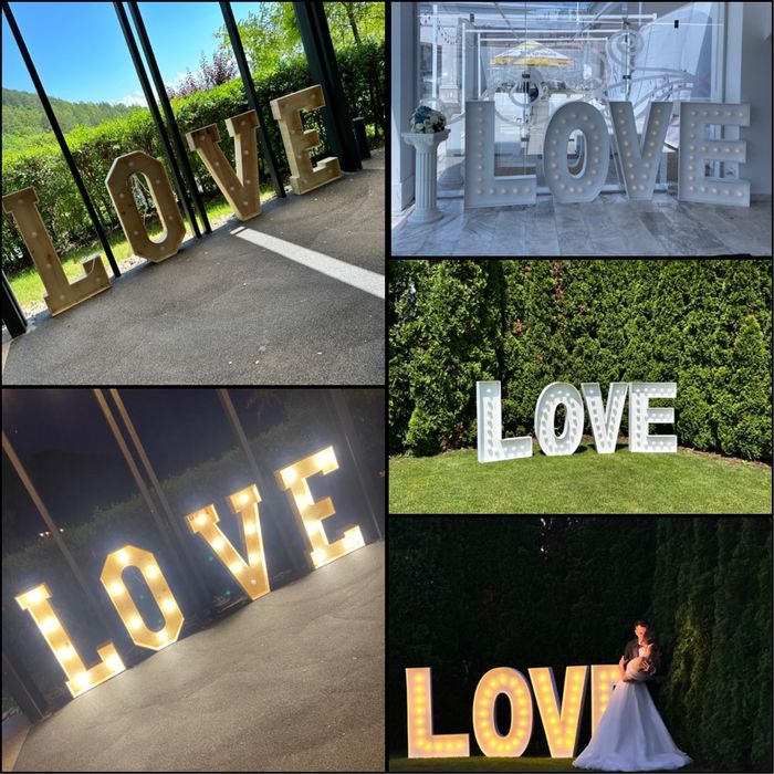 Arcada Baloane / Flori uscate, artificiale !