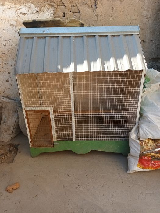 Товук канарека куш саклаш учун кафас