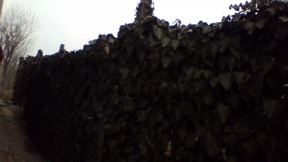 Продава се Къща в Момчилград - 84 кв.м за 395 €/кв.м - Снимка #12