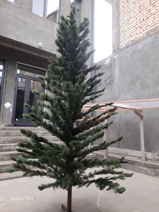 Елка продается оригинал