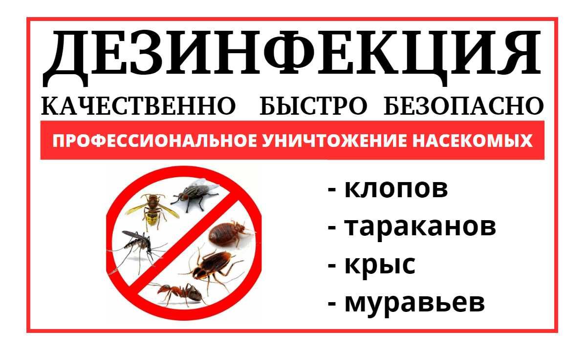 СЭС! Дезинфекция насекомых крыс,муравьев,клопов,тараканов,клещей,ос -  Дезинфекция помещений Караганда на Olx