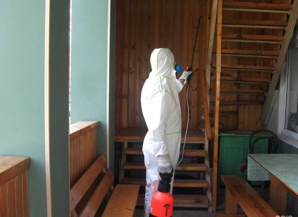 Дезинфекция Dezinfeksiya Уничтожение тараканов клопов tarakan klopa