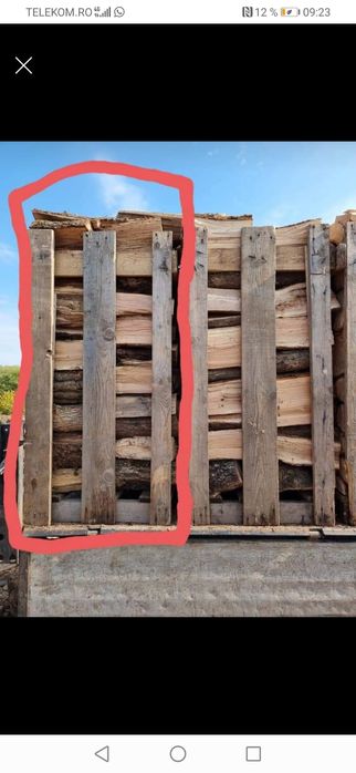 Lemne fag și stejar