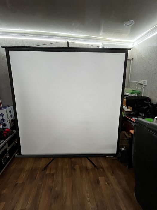 экран проекционный