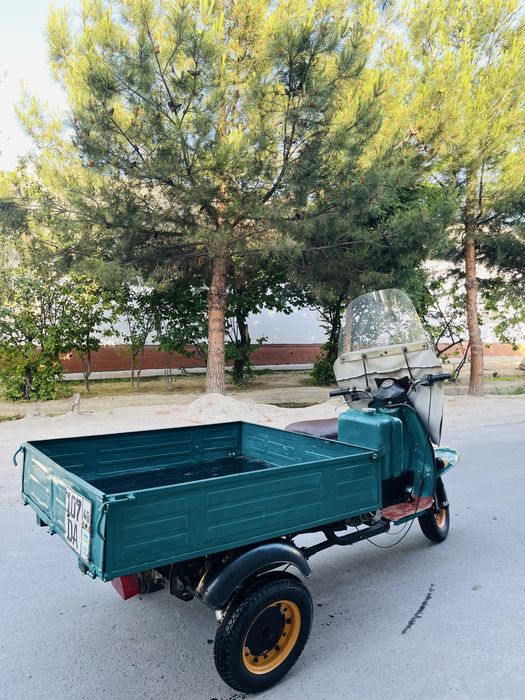 Муравей янги холатда