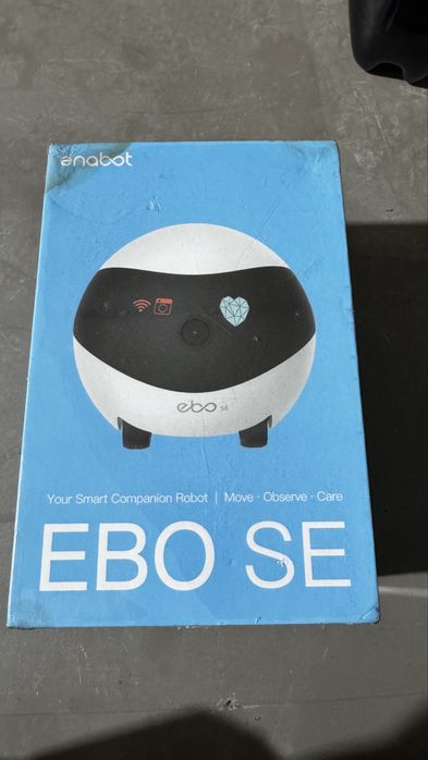 Smart Companion Robot