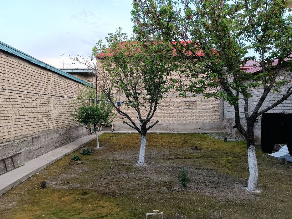 Sergili uzumzor mahallada  uchaska sotiladi.