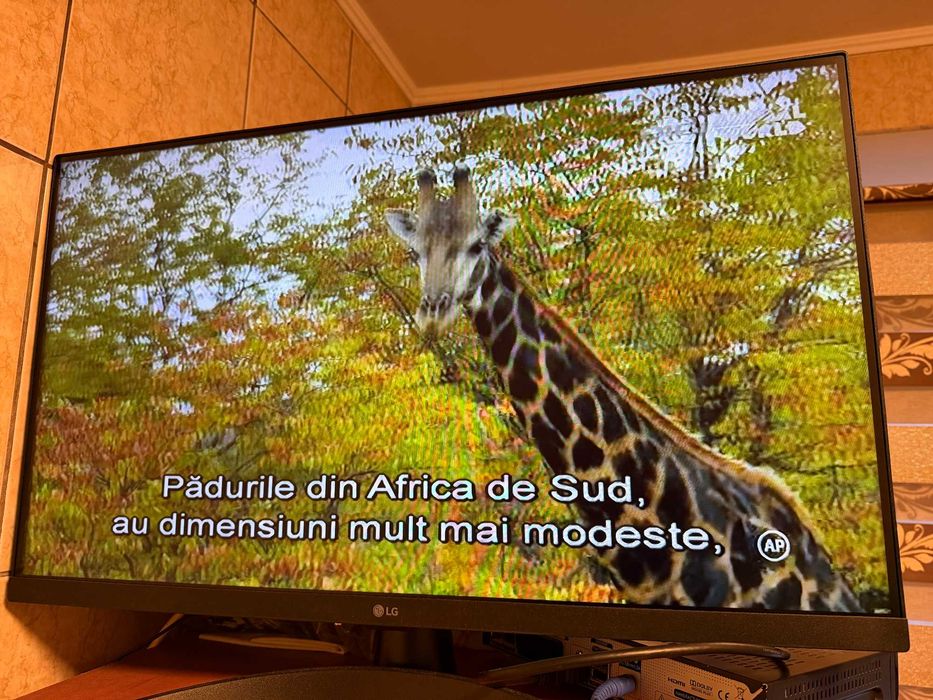 decodor digi hd decodor digi pt antena cablu digi hd digi tv model humax digi+c hd2