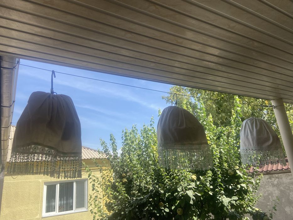 Бедана
