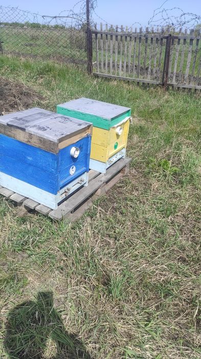 Продам улья для пчел