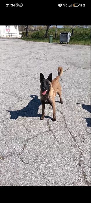 Две мъжки бебета на по 2 месеца