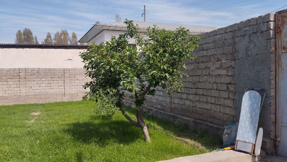 Срочно 6 сотих ер сотилади