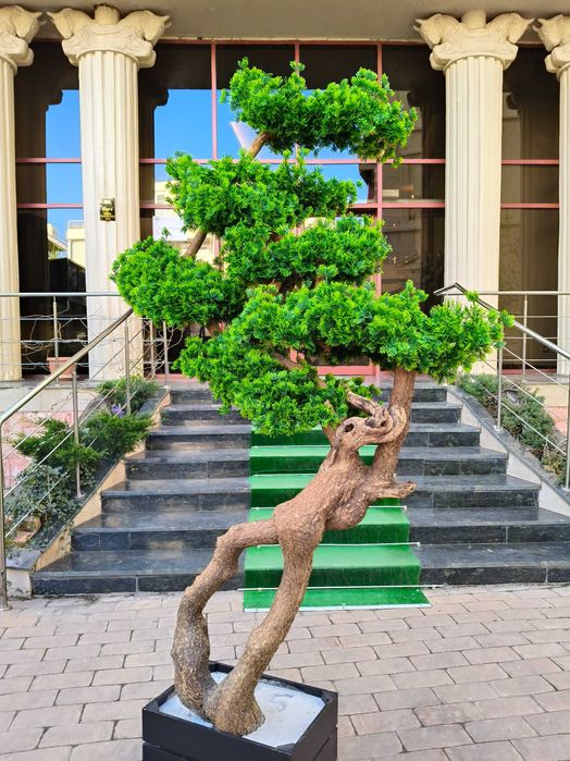 Bonsai si Măslin Artificiali Decorativi