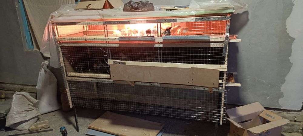 Жужа катка сотилади