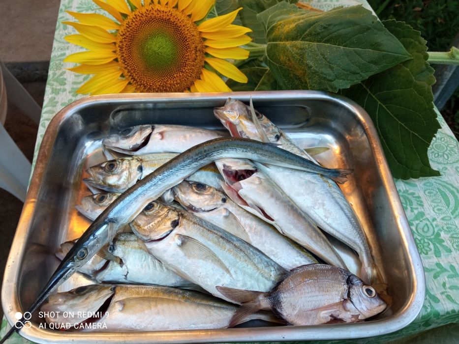 Пилкер джиг,pilker jig риболов