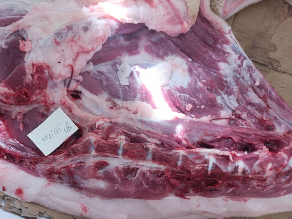 Запись на мясо свинина задняя часть
