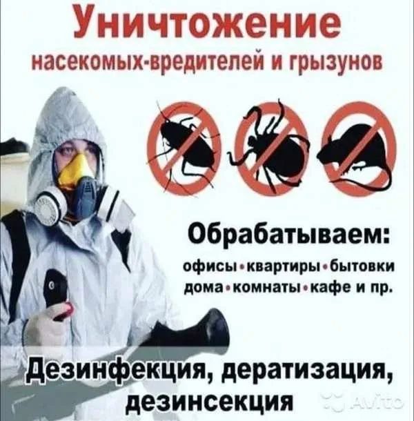 Дезинфекция от всех насекомых..