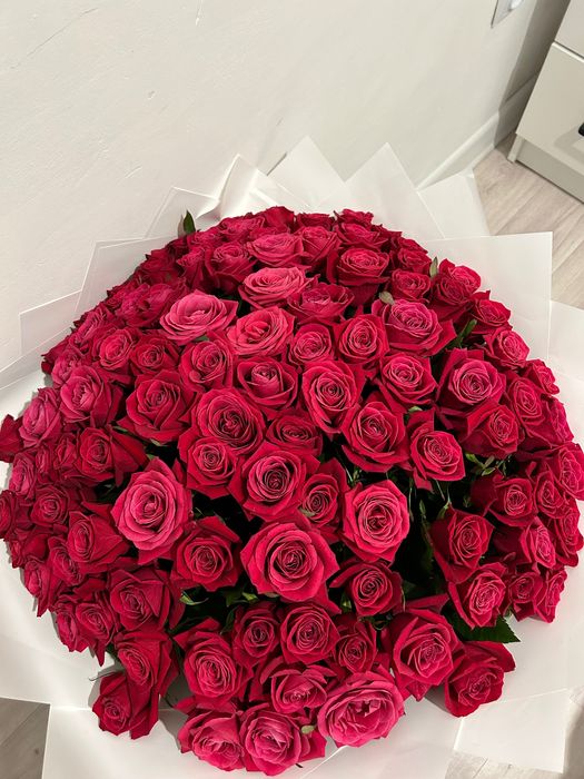 Цветы красные розы 101 штука