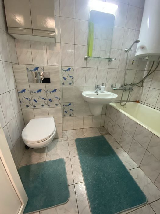 Garsoniera Baile Herculane Ultracentral