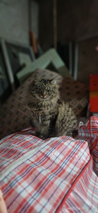 2мальчика 1девочка. Очень тактильные игривые