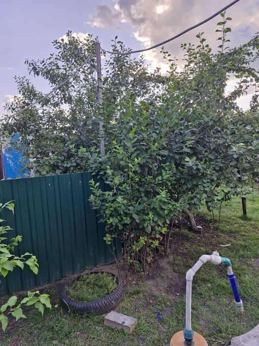 Продам дом все условия в доме есть