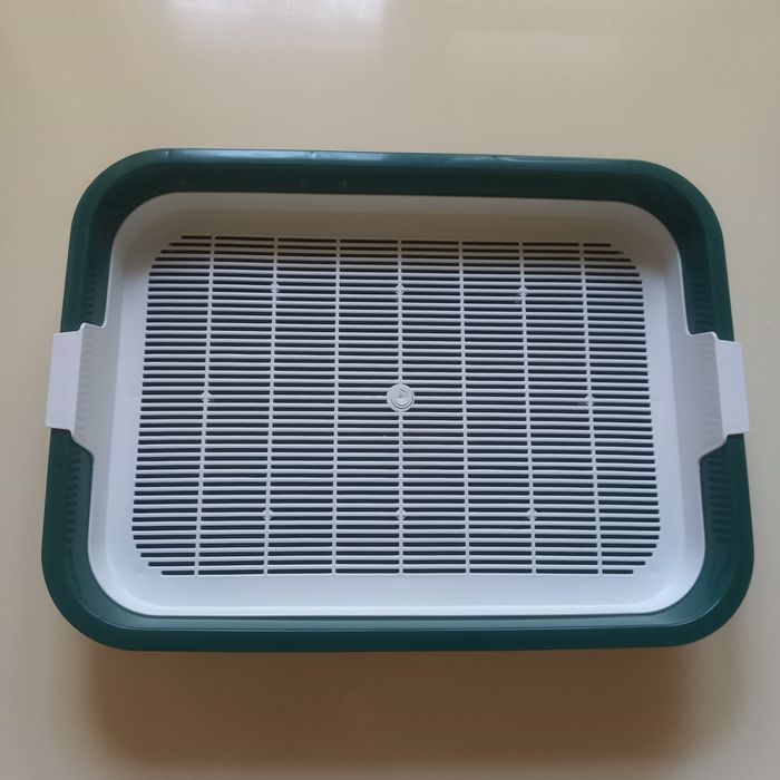 Лоток для маленьких котят