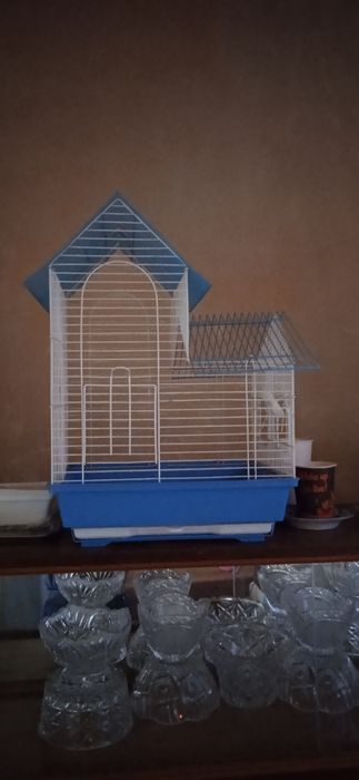 Qafas sotladi qushlar uchun