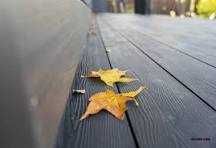 Террасная доска из ДПК , лучшее решение для Вашего дома и офиса