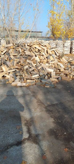 Lemn de foc FAG și SALCIE – crăpat, ambalat+Transport si plata cu card