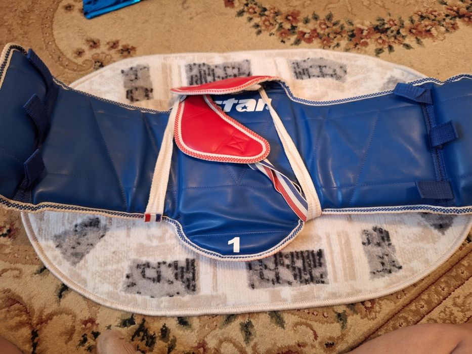 Протектор( таеквондо)