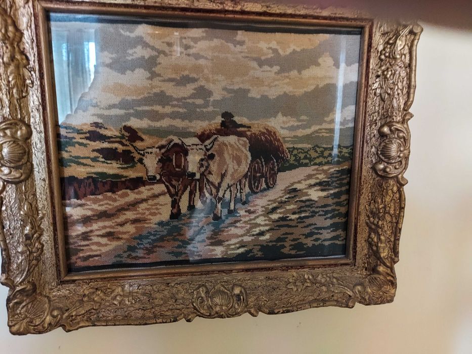 Goblenuri de mana 1leu/cmp