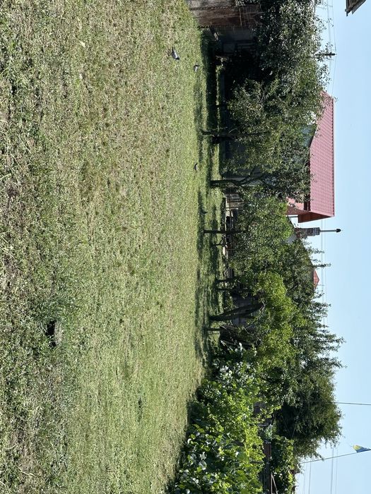 Vand casa Tatarani Prahova