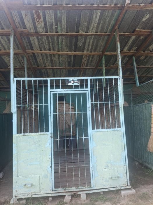 Валеры 10 штука гарантий