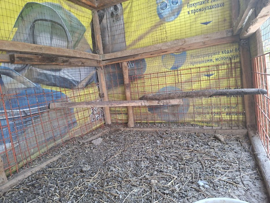 Товуқ уйчаси сотилади