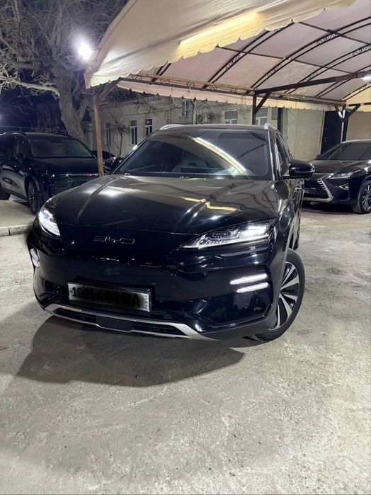 Byd champion 605 full