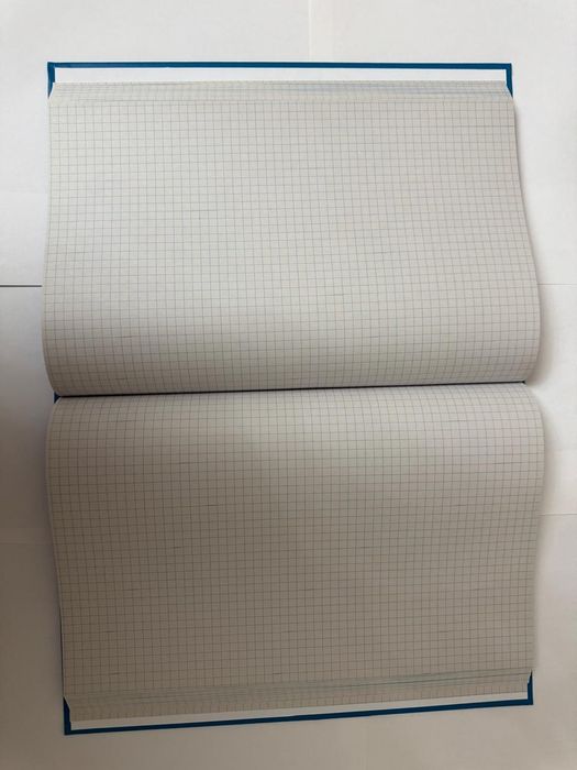 Канцелярская книга 192 листа