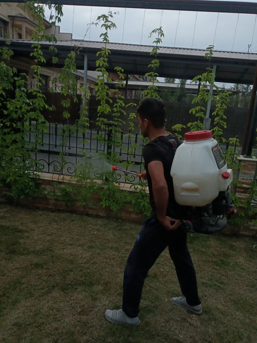 Обработка дезинфекции деревьев дарахтларга дори серия  садовник богбон