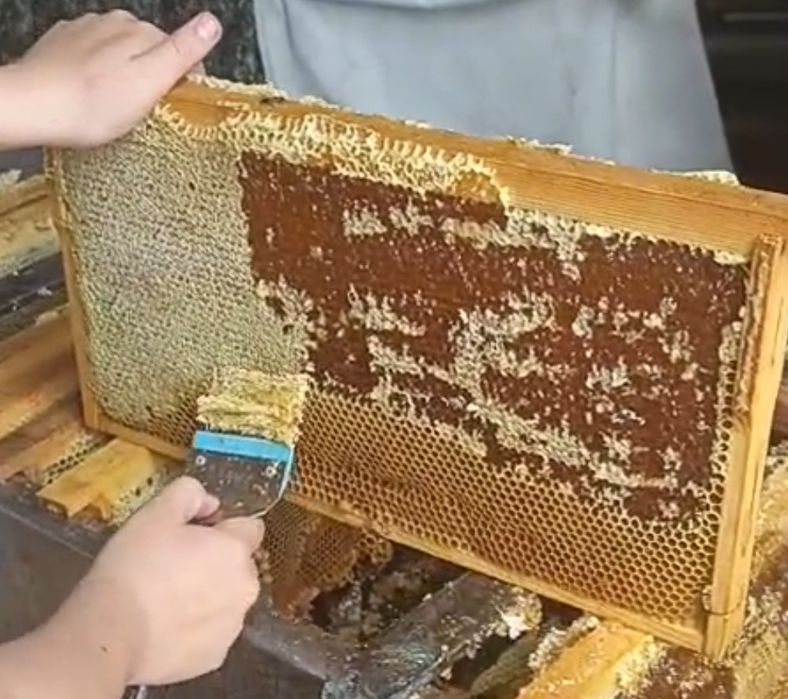 Продается  Мёд .