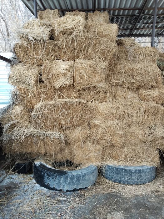 Продам тюки клевера.