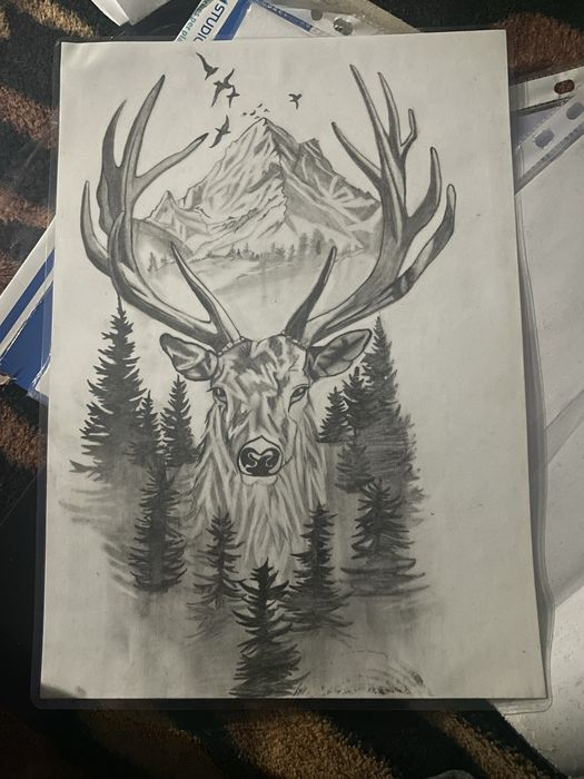 Desene creion la cerere!