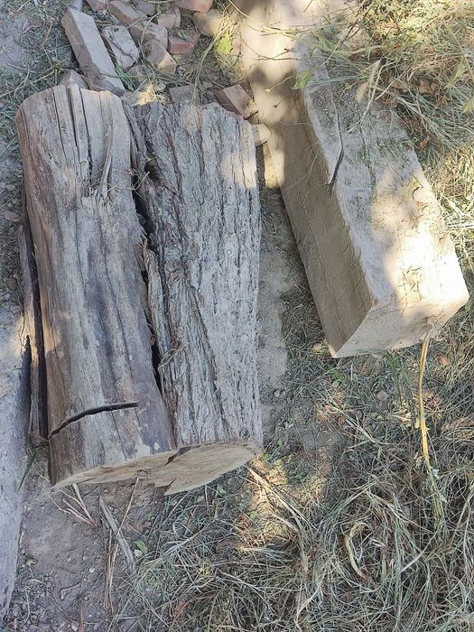 Утин тароша бу тахта ва калама