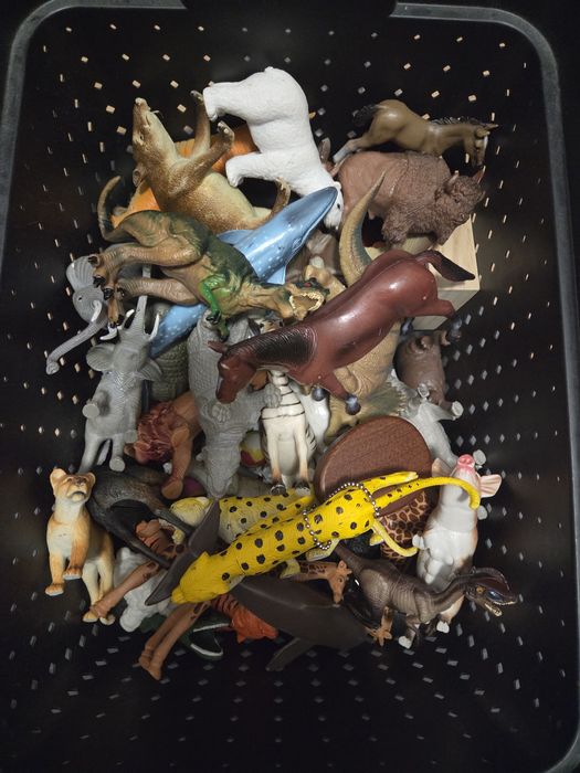 Animale domestice salbatice