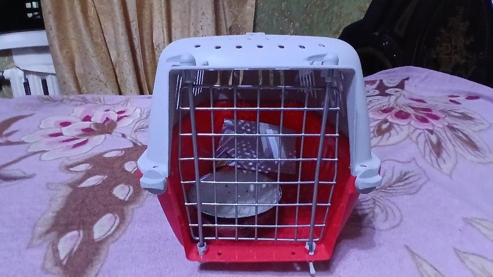 Kletka yappa yangi ishlatilmagan