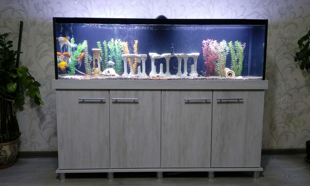 Аквариум  заказной