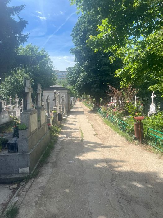 Loc de veci in cimitirul Iancu Nou