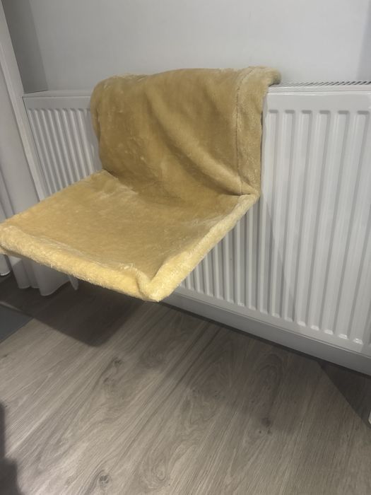 Culcus calorifer pisica